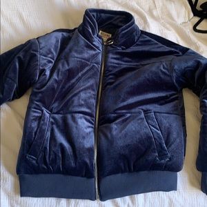 Velvet bomber